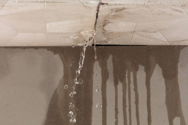Professional Structural Drying technician working in Rushmore, MN